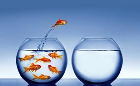 Be_an_Entrepreneur