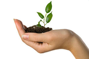 VTSL_Successful_Business_Traits